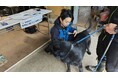 ＩＲＯ公認国際救助犬試験　１日目終了