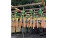 境内に200個の紀州漆器風鈴が響く「伊勢部柿本神社 風鈴まつり」開催～音の参道で楽しむ和歌山の夏～
