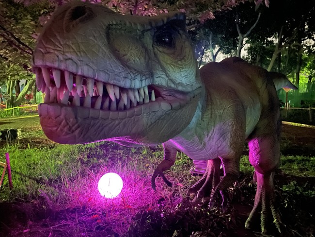 恐竜展示／ ティラノサウルス
