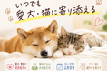 わんにゃんエクラ×MBTIペット診断