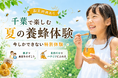【千葉・大多喜町】秋の食育にピッタリの養蜂体験を10月まで開催！ミツバチが集まる本物の巣板を親子で観察