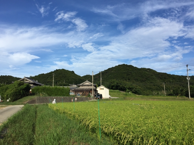 昔ながらの農家と子供の光景に癒される