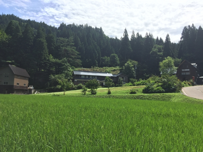 まるで故郷の原風景が広がります。