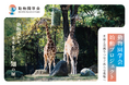 【動物園学会 設立】日本初の“動物園学”の基盤構築へ｜CAMPFIREにてクラウドファンディングを開始