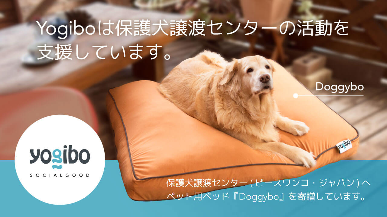 国内8 カ所ある保護犬譲渡センターへペット専用のyogibo ソファ Doggybo 寄贈 株式会社yogiboのプレスリリース