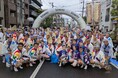 【コムシスグループ】第67回東京高円寺阿波おどりへ協賛