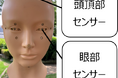 太陽を見ていなくても、目は紫外線を浴びている—見落としがちな“散乱光“や“反射光“に要注意