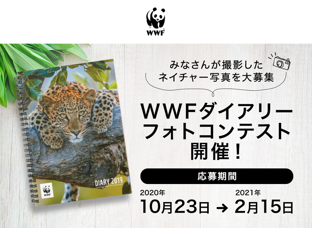 第一回wwfダイアリーフォトコンテスト 開催 特別審査員には写真家 岩合光昭氏が就任 Wwfジャパンのプレスリリース