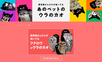 野生動物“ペット化”の見直しを訴えるキャンペーン「飼育員さんだけが知ってる あのペットのウラのカオ」フクロウのウェブページ スクリーンショット