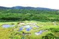 WWFジャパン、与那国島で生物多様性保全プロジェクトを開始