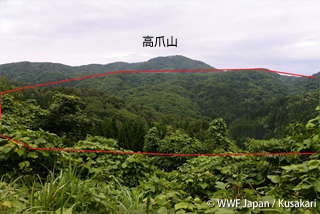 能登富士の裏側、赤線のエリアが谷ごと開発される。