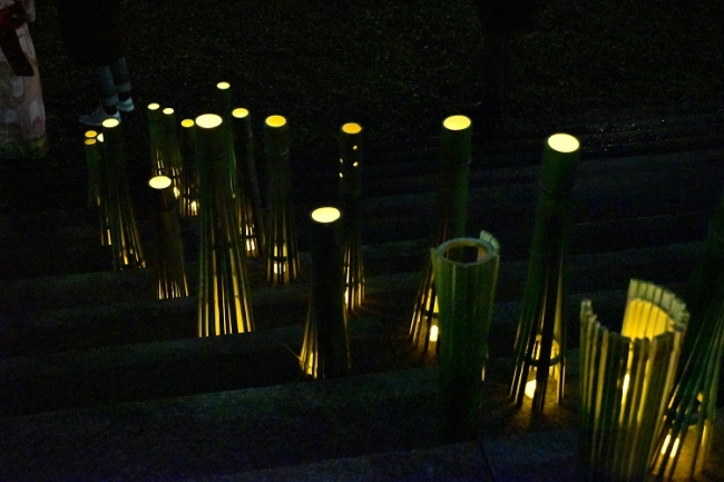 竹の灯篭(c)WWFジャパン