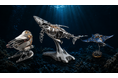海の動きを、金属の機構で集める。BLDBが「海神メカニカル・コレクションフェア」を9月01日から開催