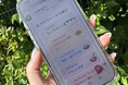 「食べたい」を諦めている人を、もう一度街へ。外食へGO！ 神戸発・外食における“食べ方”の選択肢を増やすサイト『ウサGO（うさごー）』2026年6月5日正式始動