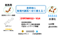 発達段階に応じたリグナン代謝制御機構を解明