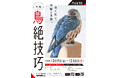 【岡山県 瀬戸内市立美術館】特別展「門永哲郎展　木鳥－鳥絶技巧－」を開催します[岡山県瀬戸内市]