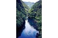 「東京の森」が、企業の未来を変える教室になる。2市1町とLNTJが挑む「TOKYOサステナブルツーリズム」プロジェクト始動