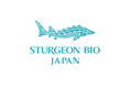希少なチョウザメ由来オイルを“水溶化”韓国発ライフサイエンスブランド「STURGEON BIO」日本公式ECサイトを公開