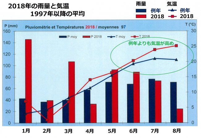 1.3月は特に雨量が多く、成熟期の気温は例年よりも高かった
