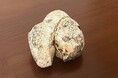 「幻の香料」龍涎香の資料室を公開、報道用写真16点を無償提供