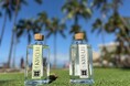 前橋から世界へ。双子蒸留所のクラフトジン『KWELI』、8月ハワイ上陸を皮切りに海外輸出を本格化