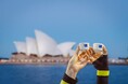 「シドニー酒フェスティバル2026」開催報告　日本酒市場と訪日需要を分析