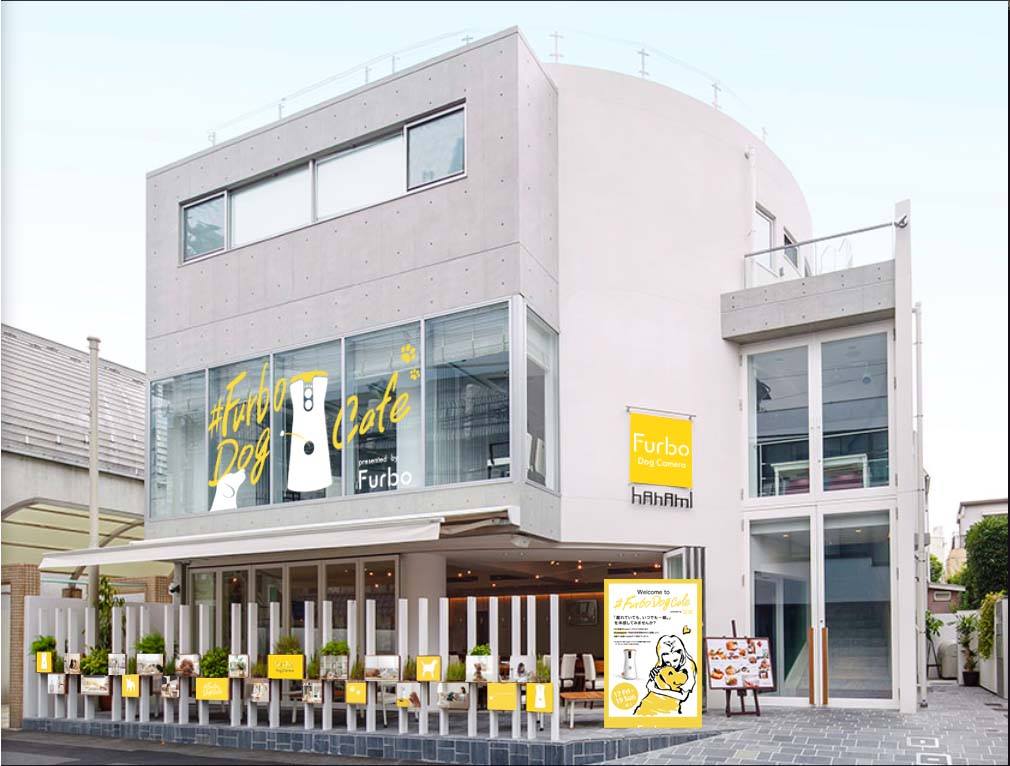 日本初 人気ワンスタグラマー が監修 愛犬家のためのドッグカフェ Furbo Dog Cafe Presented By Furbo Dogcamera 表参道に11月17日 金 より期間限定open Tomofun 株式会社のプレスリリース