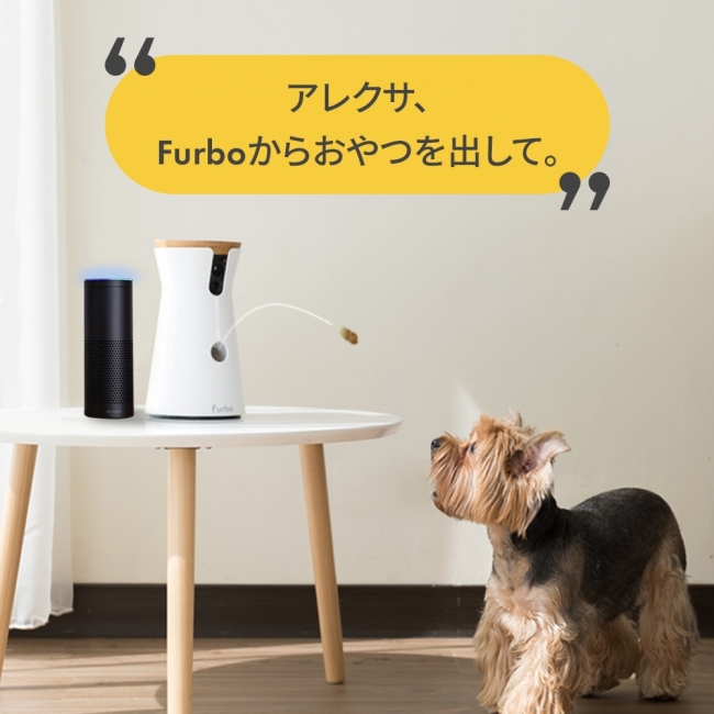 Furbo(ファーボ)が10秒に1台以上売れるドッグカメラに！世界10カ国同時