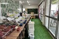 【大阪・柏原】「試食しないと買えない」ぶどう直売所、2026年7月3日より本格開始