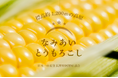 【⽇本⼀の星空】⻑野県阿智村　高原で育った甘い「なみあい とうもろこし」ECサイトにて販売開始