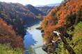 【日本一の星空】長野県阿智村 錦秋の南信州を満喫するモニターツアーに企画協力