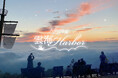 【日本一の星空】長野県阿智村 ゴンドラで行く絶景!!「天空の楽園 雲海Harbor」開催