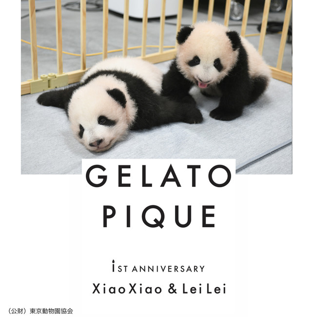 gelato pique(ジェラート ピケ)】恩賜上野動物園の大人気双子パンダ”シャオシャオ・レイレイ”とのコラボレーションアイテムもラインアップした PANDA SERIESを先行予約販売を開始！ | CLASSY.[クラッシィ]