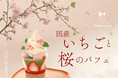 桜の季節にだけ味わえる“口福”パフェが大阪限定で新登場!有機豆乳と甘酒で作る、上質なくちどけのヴィーガンソフトを春めく素材で楽しんで