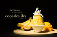 【gelato pique cafe(ジェラート ピケ カフェ)】「Joël Robuchon」との初コラボレーション!エキゾチックなトロピカルかき氷”coco des îles“<7月1日(火)~>