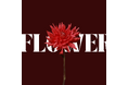 新世代アーティスト「KANAKA」、初の楽曲『Flower』を6月15日にリリース。音楽一家のルーツが紡ぐ、繊細さと情報の共鳴。