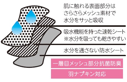吸水サニタリーショーツ(昼用)説明 吸水サニタリーショーツ(昼用)説明