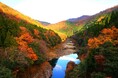 五感にふれる、秋のとやま巡り旅。「立山黒部の新しい楽しみ方」から「秋の味覚」まで最新情報をお届け！