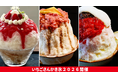 【佐賀のブランドいちご「いちごさん」と東京都内の人気かき氷店がコラボ】「サカノウエカフェ」「廚 くろぎ」「くろぎ甘味研究所」が“かき氷の日”の7月25日より順次「いちごさんかき氷」を提供します！