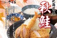 【とんかつ神楽坂さくら】秋の贅沢。北海道産「秋鮭フライ」と「神の海老フライ」、銘柄豚「とんかつ」まで！フライ界の主役たちを一皿に詰め込んだ、秋のごちそうセット登場！