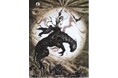 天野喜孝原作 完全新作オリジナルアニメ『斬 -ZAN-』始動 闇を解き放つ！ダークファンタジー作品 / ロサンゼルスのAnime Expo 2026でパイロットフィルムの映像を世界初公開 !!