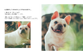 伊勢神宮から車で5分。「愛犬を、アートに。」予約1年待ちの人気フォトスタジオが、令和8年8月8日愛犬専用ブランド『once』を始動。