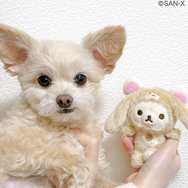 投稿イメージ2. 投稿イメージ2.