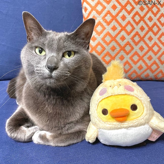 投稿イメージ3. 投稿イメージ3.