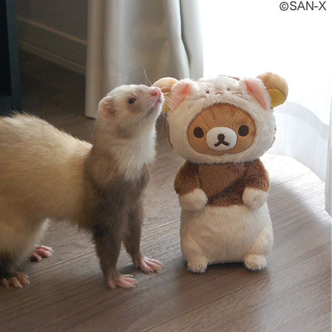 投稿イメージ1. 投稿イメージ1.