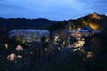 夜間貸切「高知県立牧野植物園・南園」見学ツアーを発売