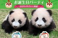 夏休み旅行は香港へ✈かわいい双子の赤ちゃんパンダに会いに行こう!~開園前に優先入場できるジャイアントパンダ見学ツアー発売開始~