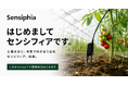 株式会社センシフィア、公式note・SNSで情報発信を本格始動