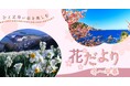 ひと足早い春の訪れを満喫!「冬〜早春の花だより」特集ページを公開