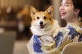 お客様の声を反映！わんわんリゾート屋内ドッグランを全施設でリニューアル